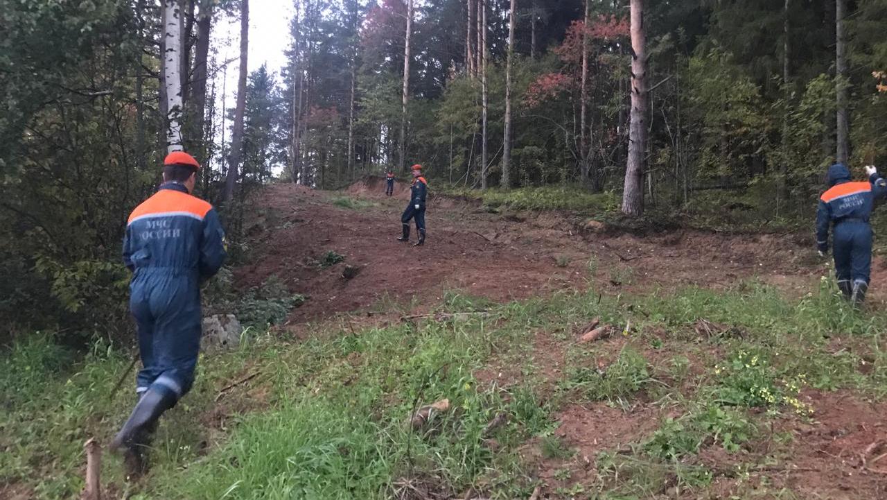 Оставила детей в лесу. Спасатели нашли ребенка в лесу. Фотографии самозакопавшихся людей Вологодской области.