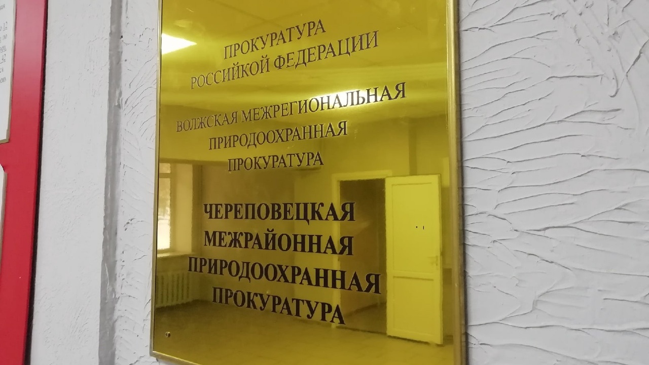 вирус вирус
