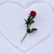 yanews054312[1]