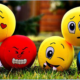 AMCFN