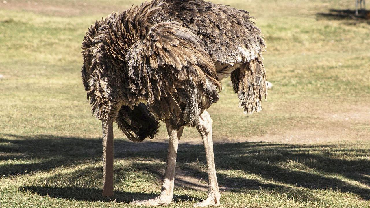 K7UuB9QipdQ K7UuB9QipdQ