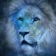 3NMdHQXL-U6OqjiUo9Fw93R5WLpI-Kn4My3vpMbvF3GD1SNqKU9Xk8CoEcFYTldPir4wSV_z8gX9bTsQY9keHtuM