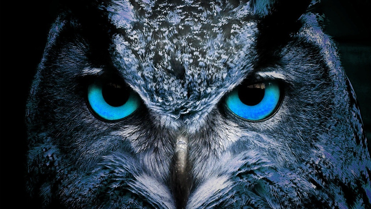 3NMdHQXL-U6OqjiUo9Fw93R5WLpI-Kn4My3vpMbvF3GD1SNqKU9Xk8CoEcFYTldPir4wSV_z8gX9bTsQY9keHtuM 3NMdHQXL-U6OqjiUo9Fw93R5WLpI-Kn4My3vpMbvF3GD1SNqKU9Xk8CoEcFYTldPir4wSV_z8gX9bTsQY9keHtuM