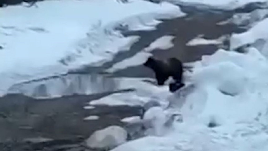 . .