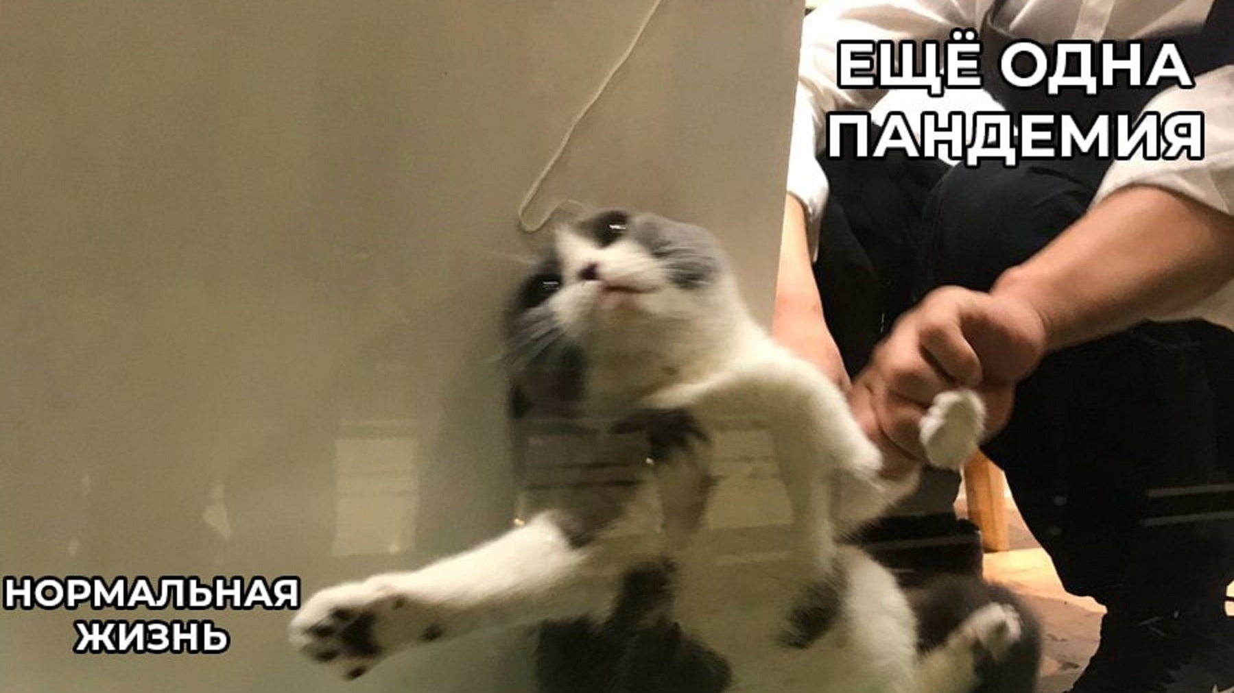 . .