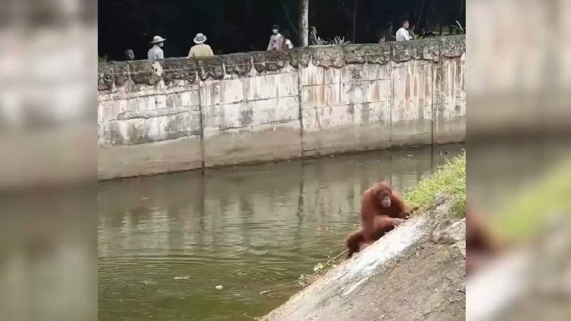 . .