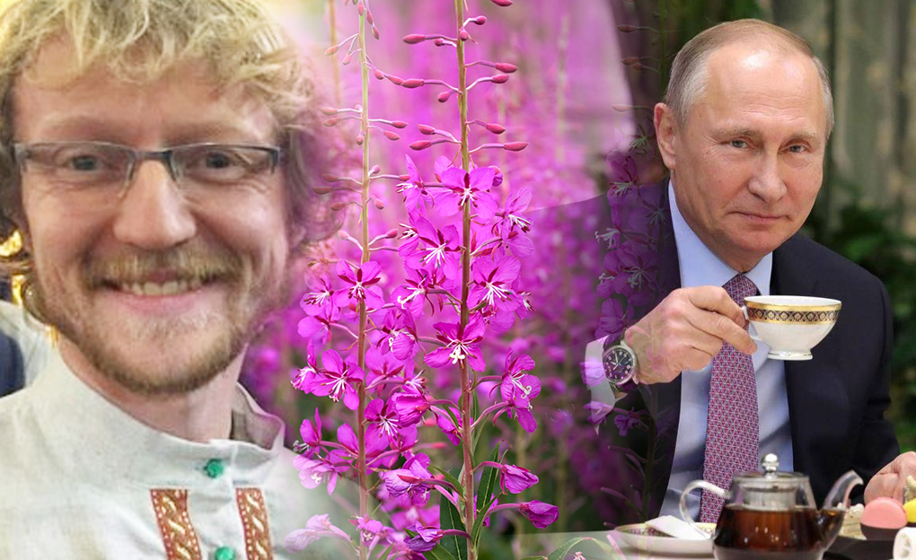 Иван чай Иван чай