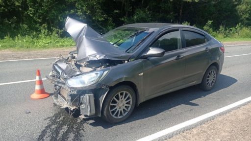 Машина после столкновения с лосем