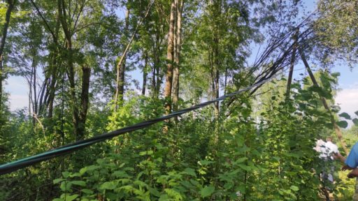 Место трагедии