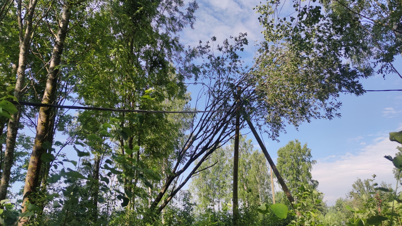 «Последствия