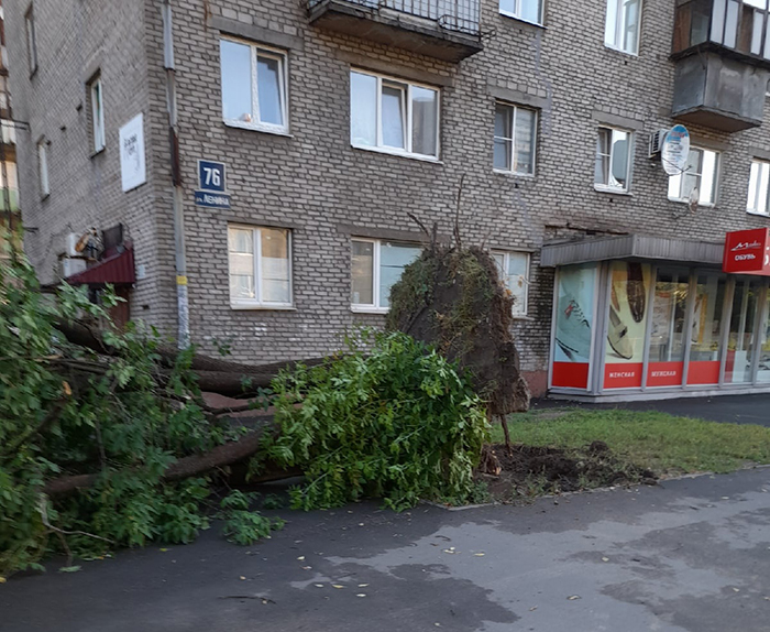 «Вырванное