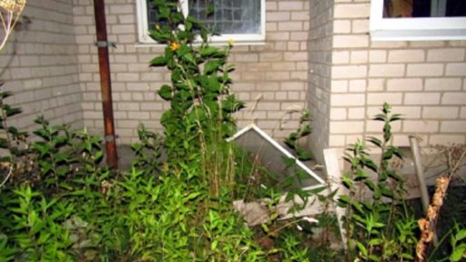 Дом, откуда выпал мальчик