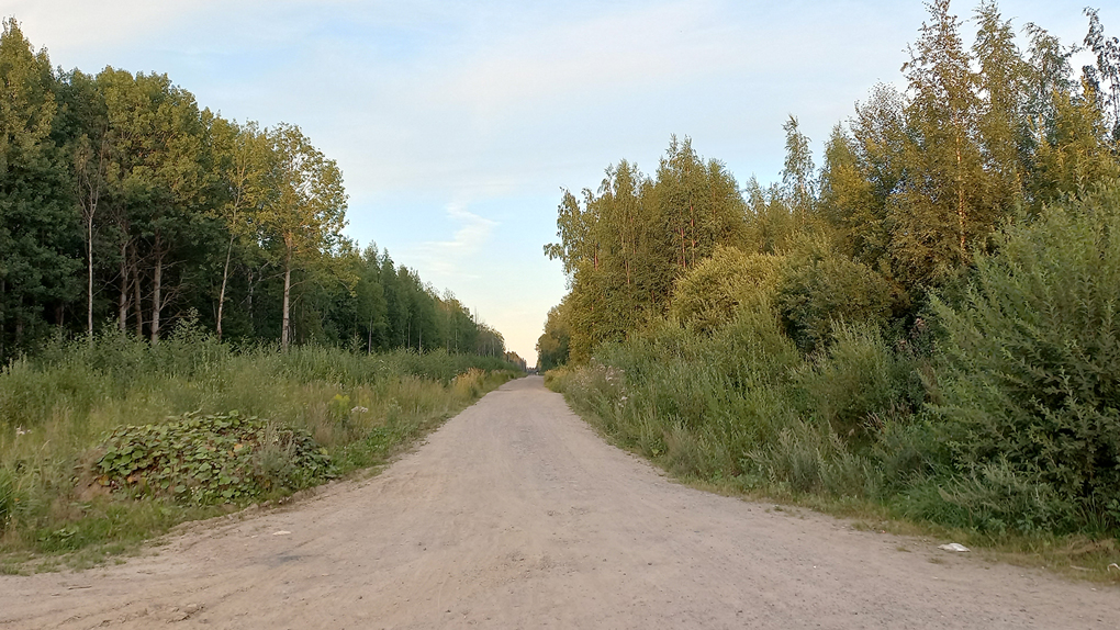 «Дорога»