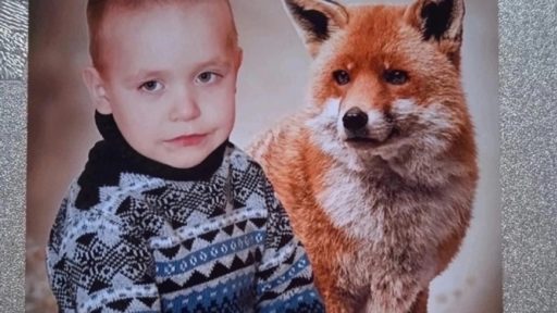 Егор Наволоцкий