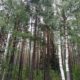 Всем семерым повезло - их нашли почти сразу