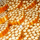 635e48cfbb37d_1667123498_635e48cfbb377