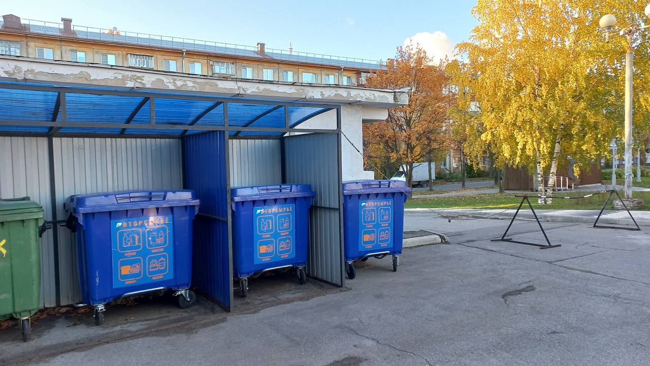 Контейнерная площадка в Череповце Контейнерная площадка в Череповце