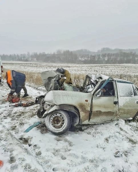 «Нексия.»