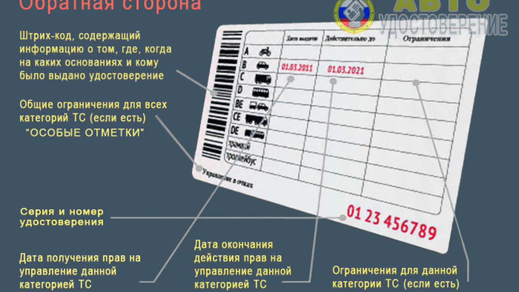 Что означает в водительских правах м. Расшифровка обозначений на водительских правах. Обозначения на водительском удостоверении. Расшифровка водительского удостоверения нового образца. Символы на водительском удостоверении.