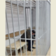 Подозреваемый в суде