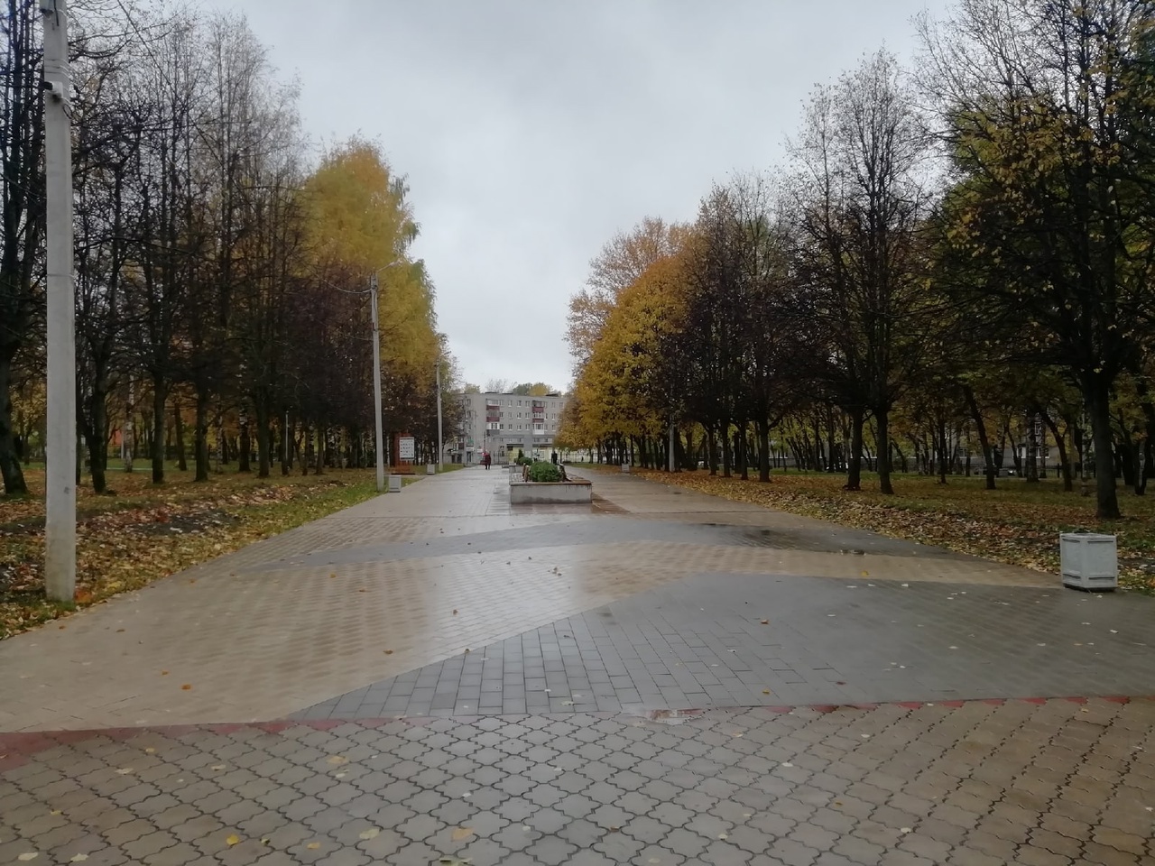 Погода пока будет осенней Погода пока будет осенней
