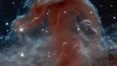 Туманность Конская голова, созвездие Ориона, Млечный путь, 1300 с.л.
