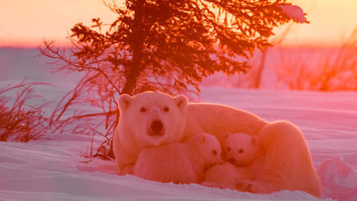 341dcf64fd14642c2ed3d2c24153a57c (1)