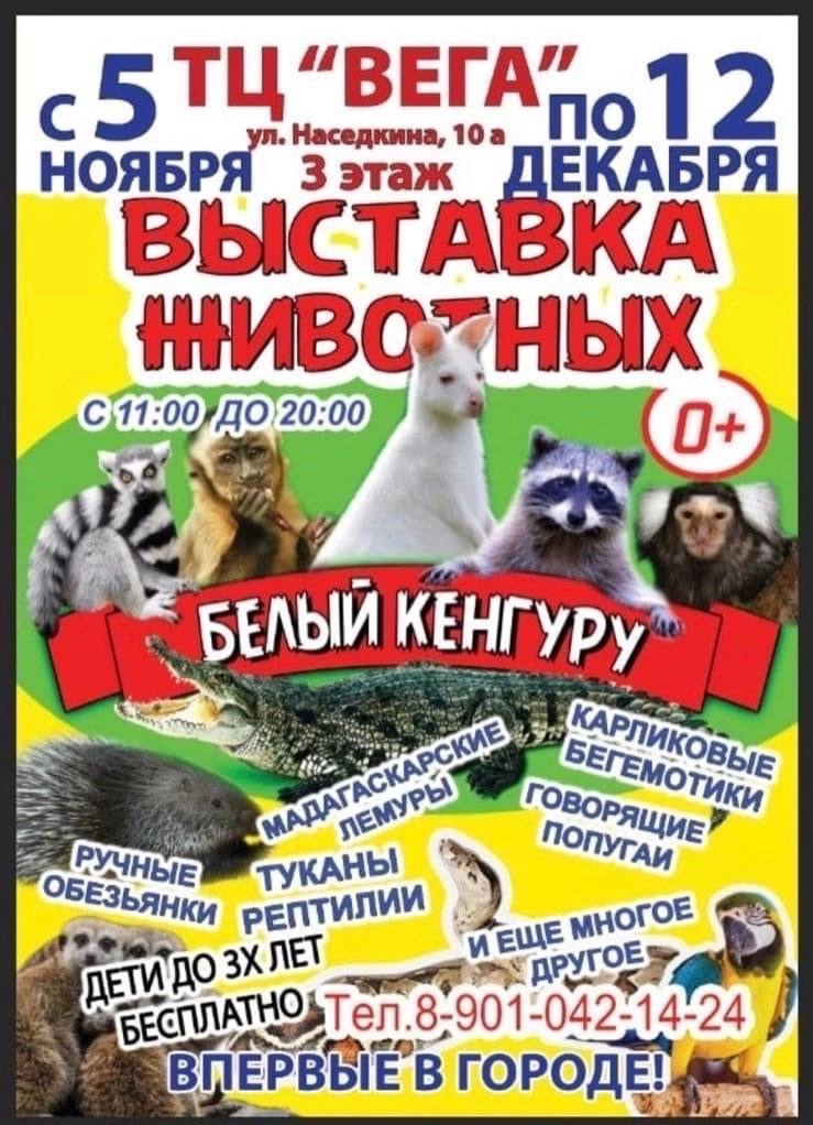 «Афиша»