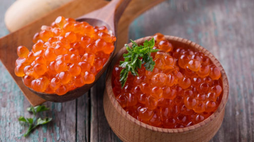 6394eced4ff20_1670704386_6394eced4ff19