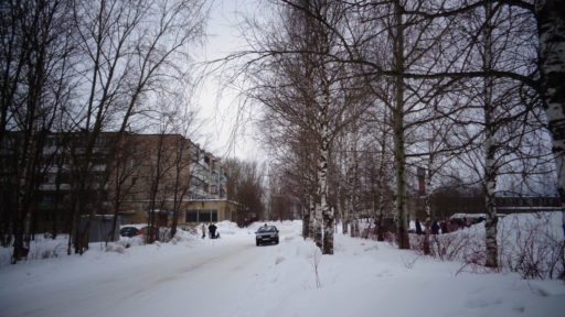 Климовское