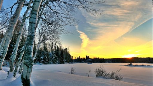 зима пейзаж