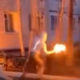 Коктейль Молотова