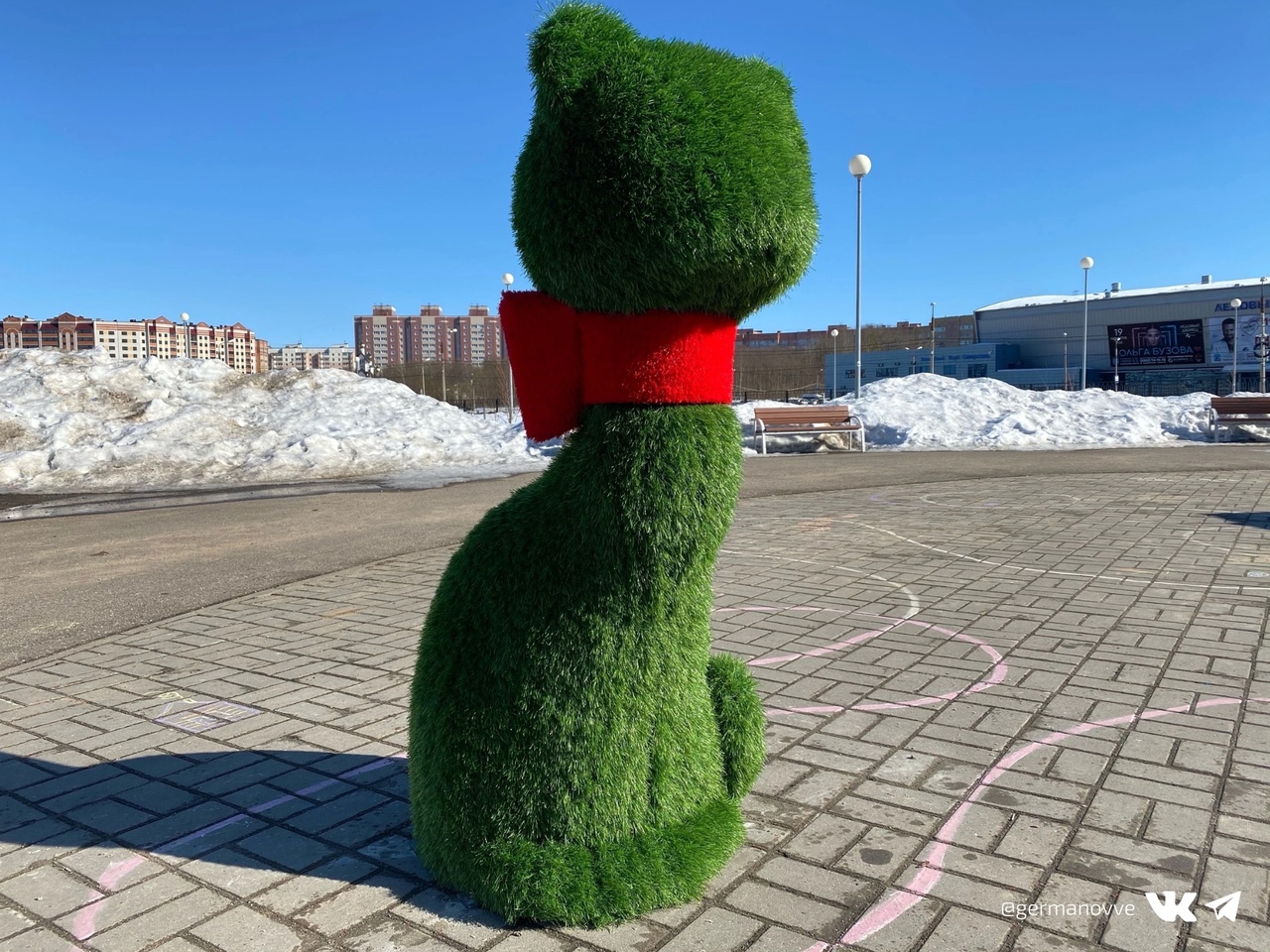 «Кот»