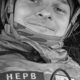 Нерв