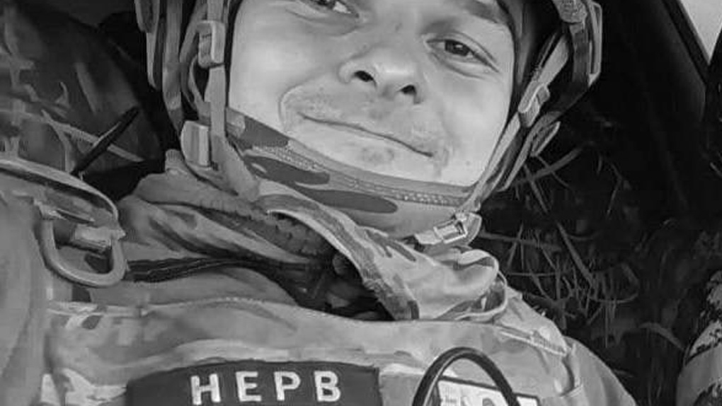 Нерв Нерв