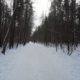 Тропа здоровья