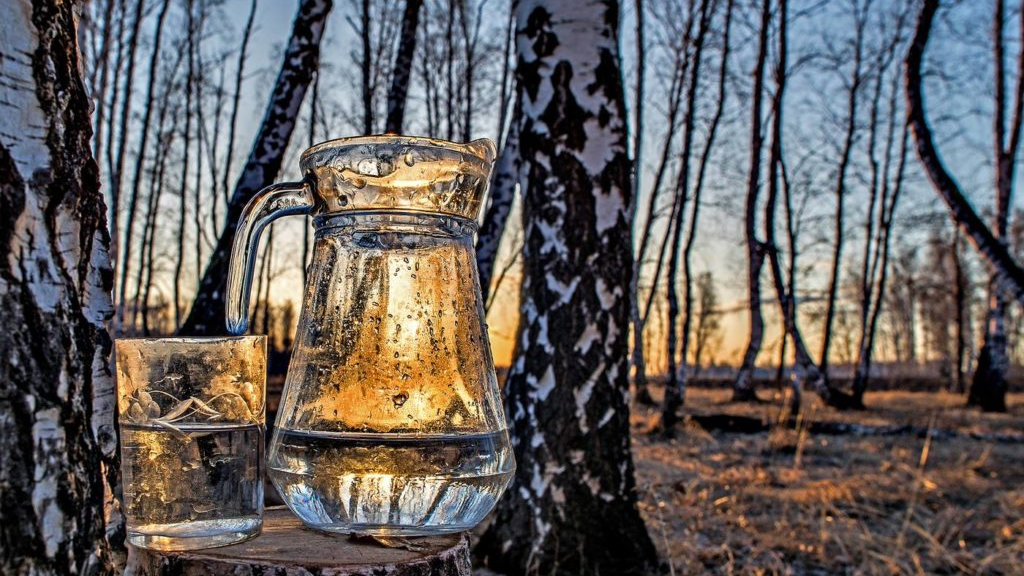 березовый сок (1) березовый сок (1)