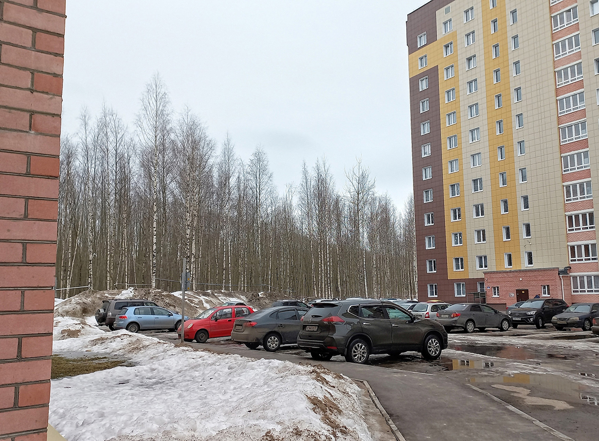 «Лесок