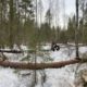 Место трагедии