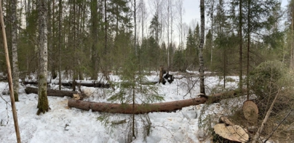 Место трагедии Место трагедии