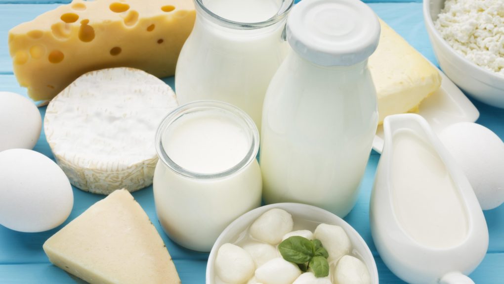 молочные продукты молочные продукты