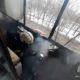 Пожарные на Вологодской 31