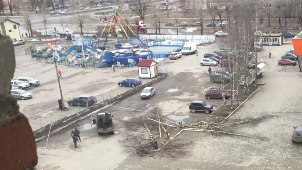 Березы Березы