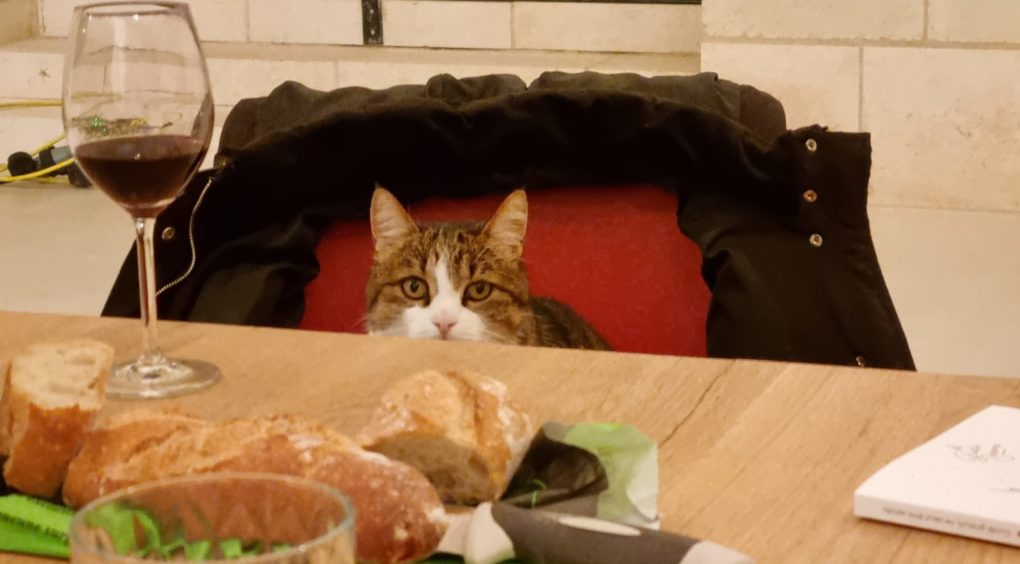 «кошка