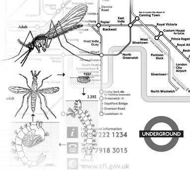 london-underground-mosquito