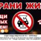 Сохрани жизнь