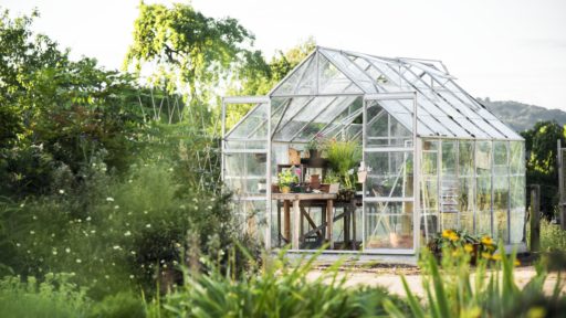 дача теплица огород флипик