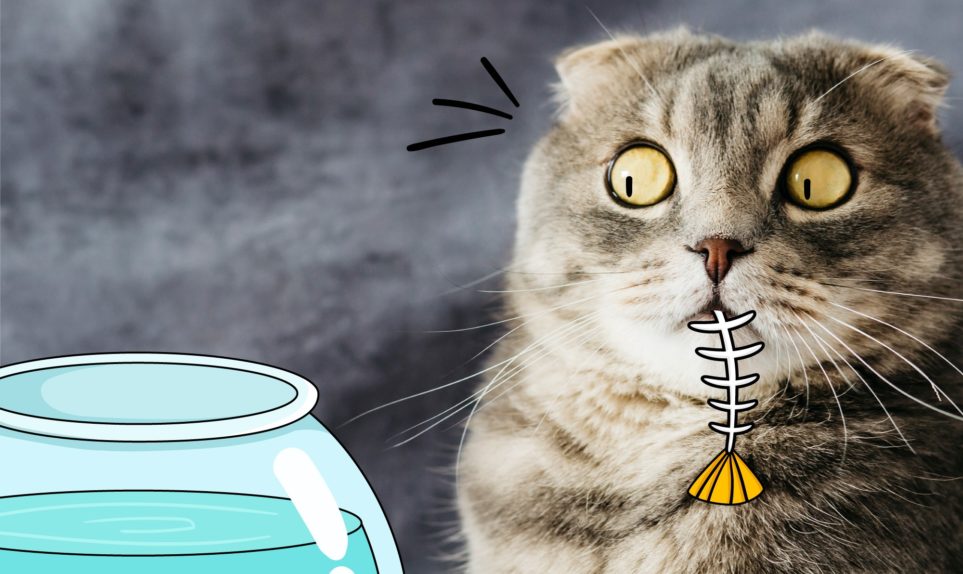 кошка с рыбьей костью флипик кошка с рыбьей костью флипик