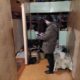 Следователь в квартире