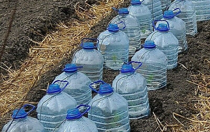 теплица из бутылок (1)